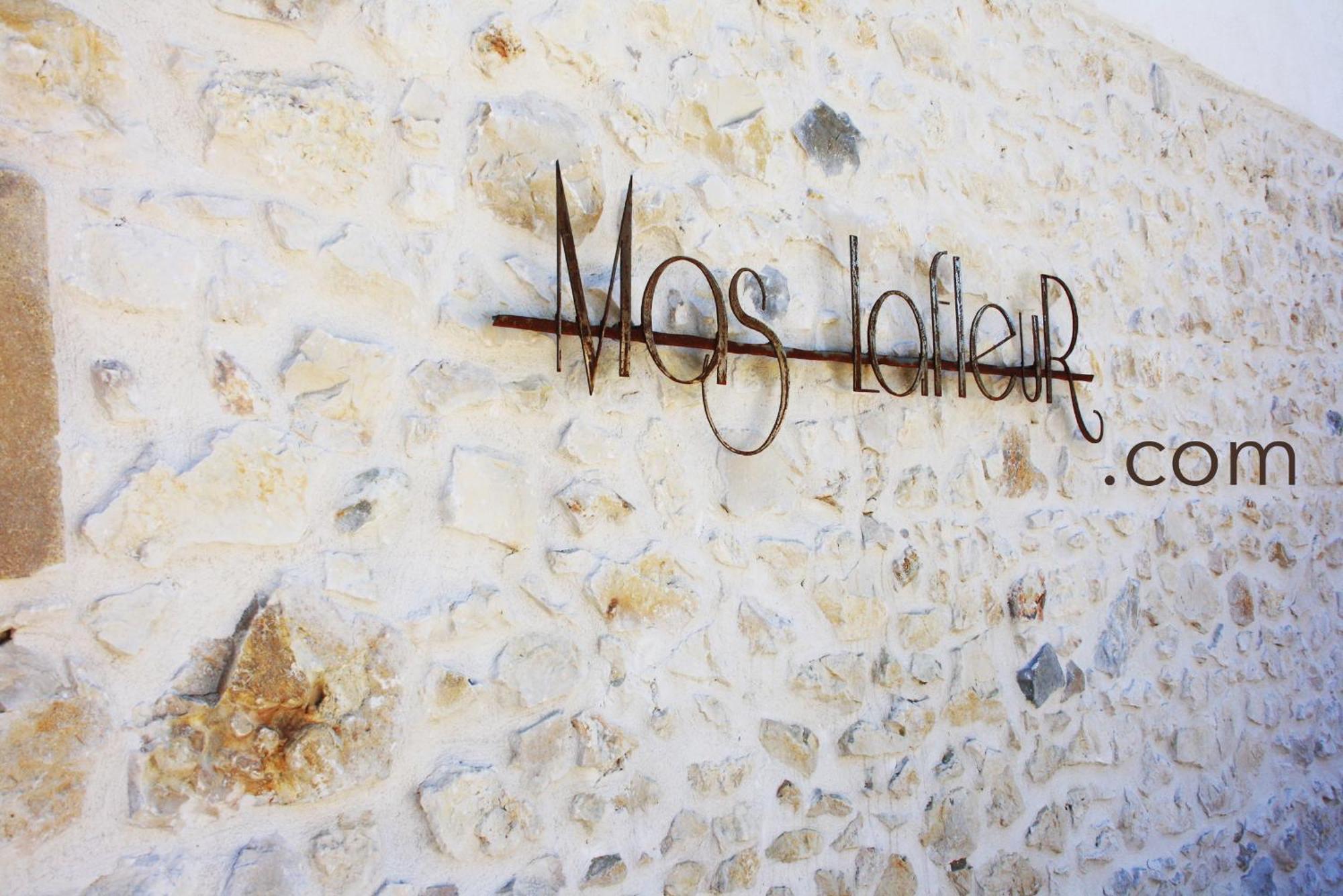 Bed and Breakfast Mas Lafleur Châteaurenard Exterior foto